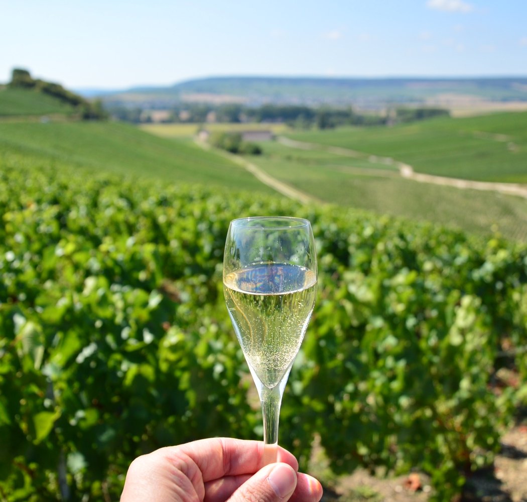 Wine Tours Paris 1